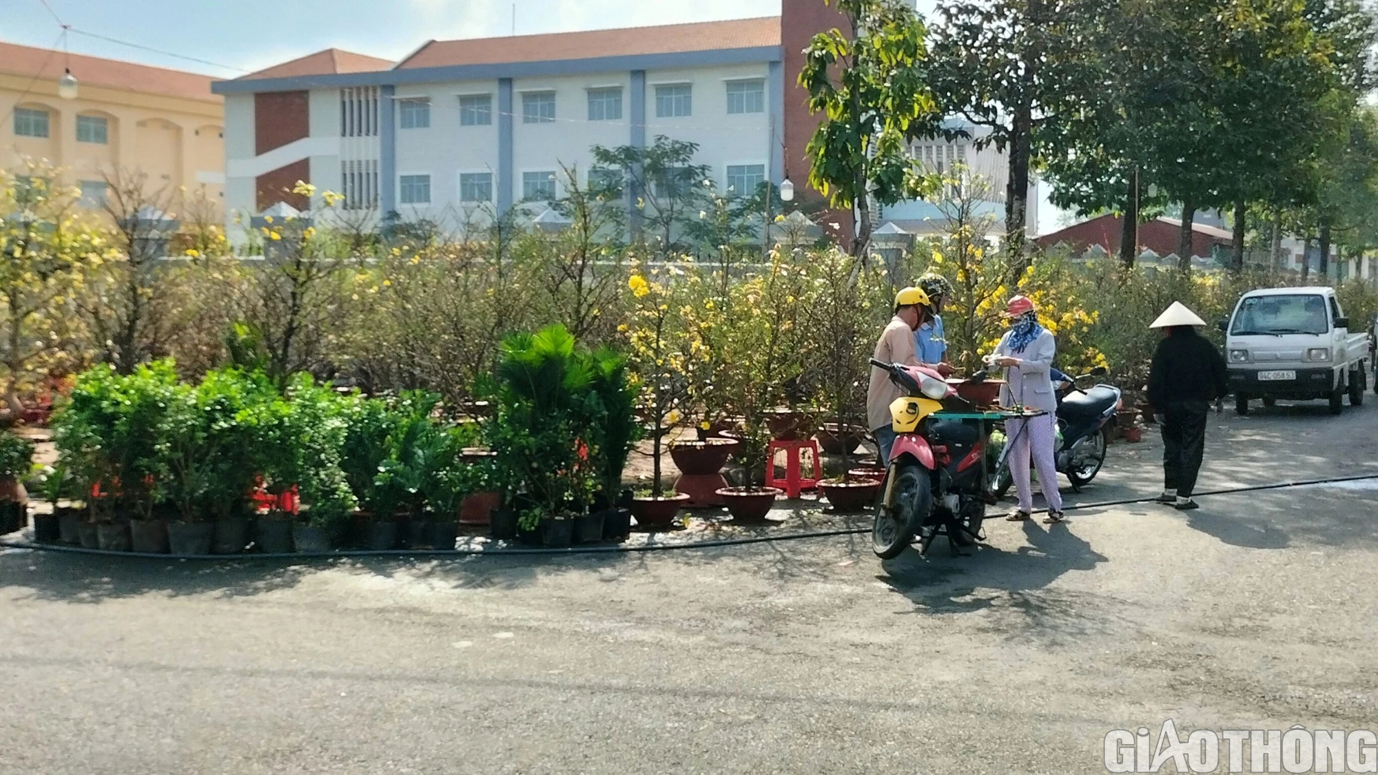 Dịch vụ chở thu&ecirc; hoa kiểng ở Bạc Li&ecirc;u ăn n&ecirc;n l&agrave;m ra dịp Tết- Ảnh 5.