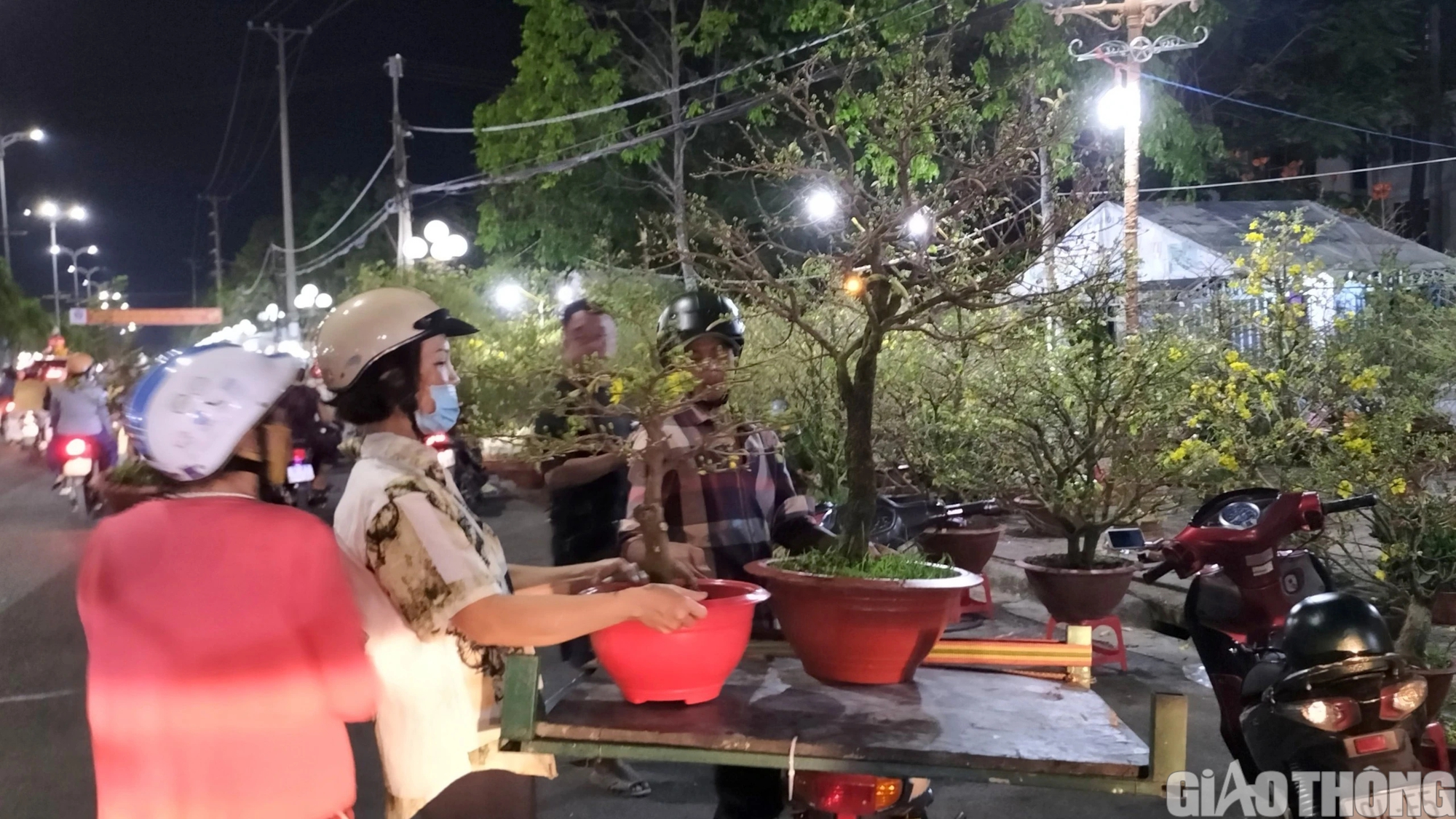 Dịch vụ chở thu&ecirc; hoa kiểng ở Bạc Li&ecirc;u ăn n&ecirc;n l&agrave;m ra dịp Tết- Ảnh 7.