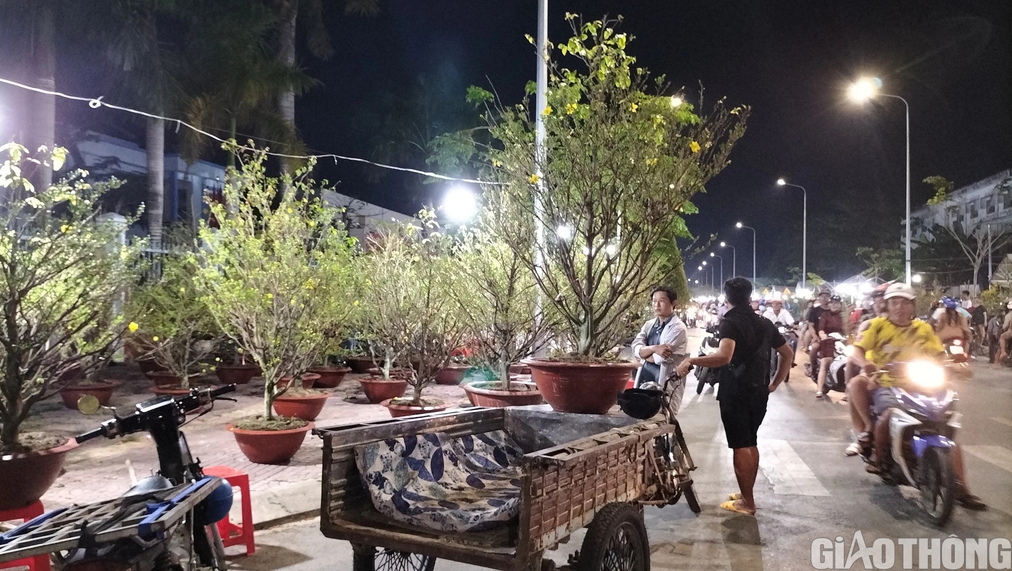 Dịch vụ chở thu&ecirc; hoa kiểng ở Bạc Li&ecirc;u ăn n&ecirc;n l&agrave;m ra dịp Tết- Ảnh 9.