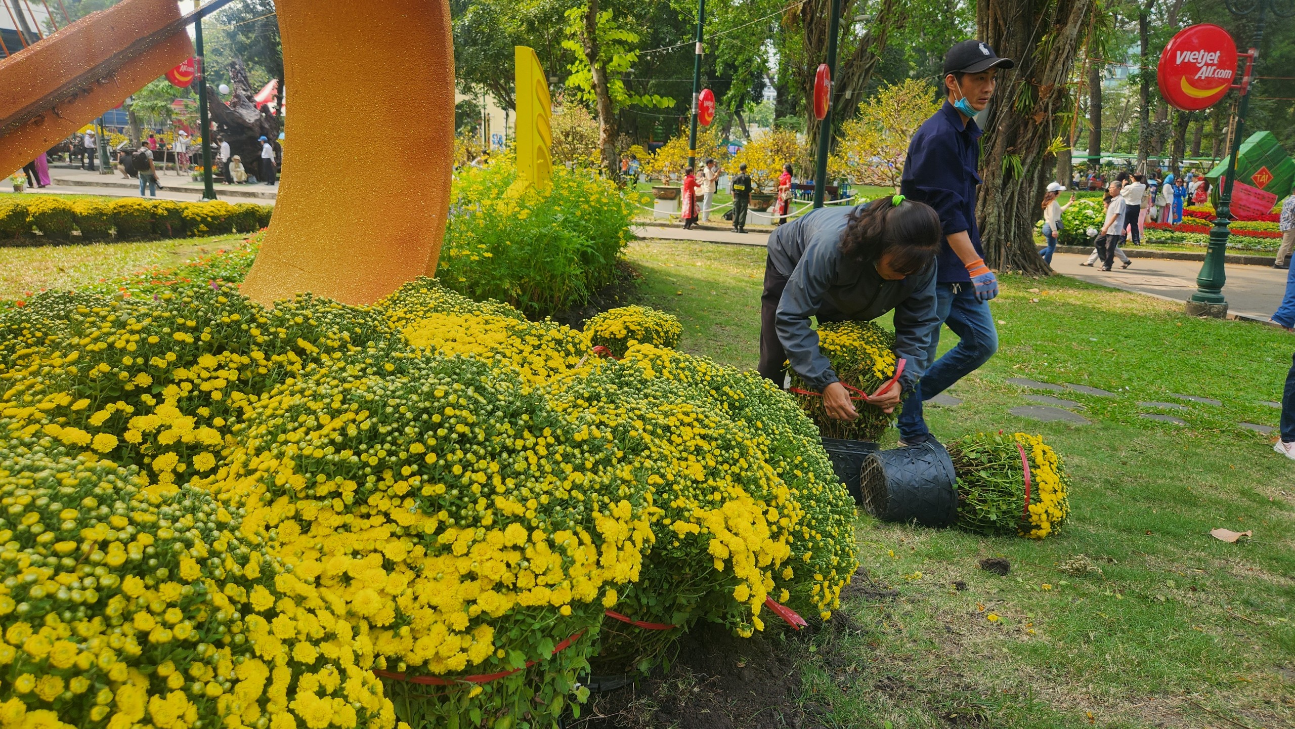 Hội hoa xu&acirc;n TP.HCM khoe sắc thu h&uacute;t người d&acirc;n 