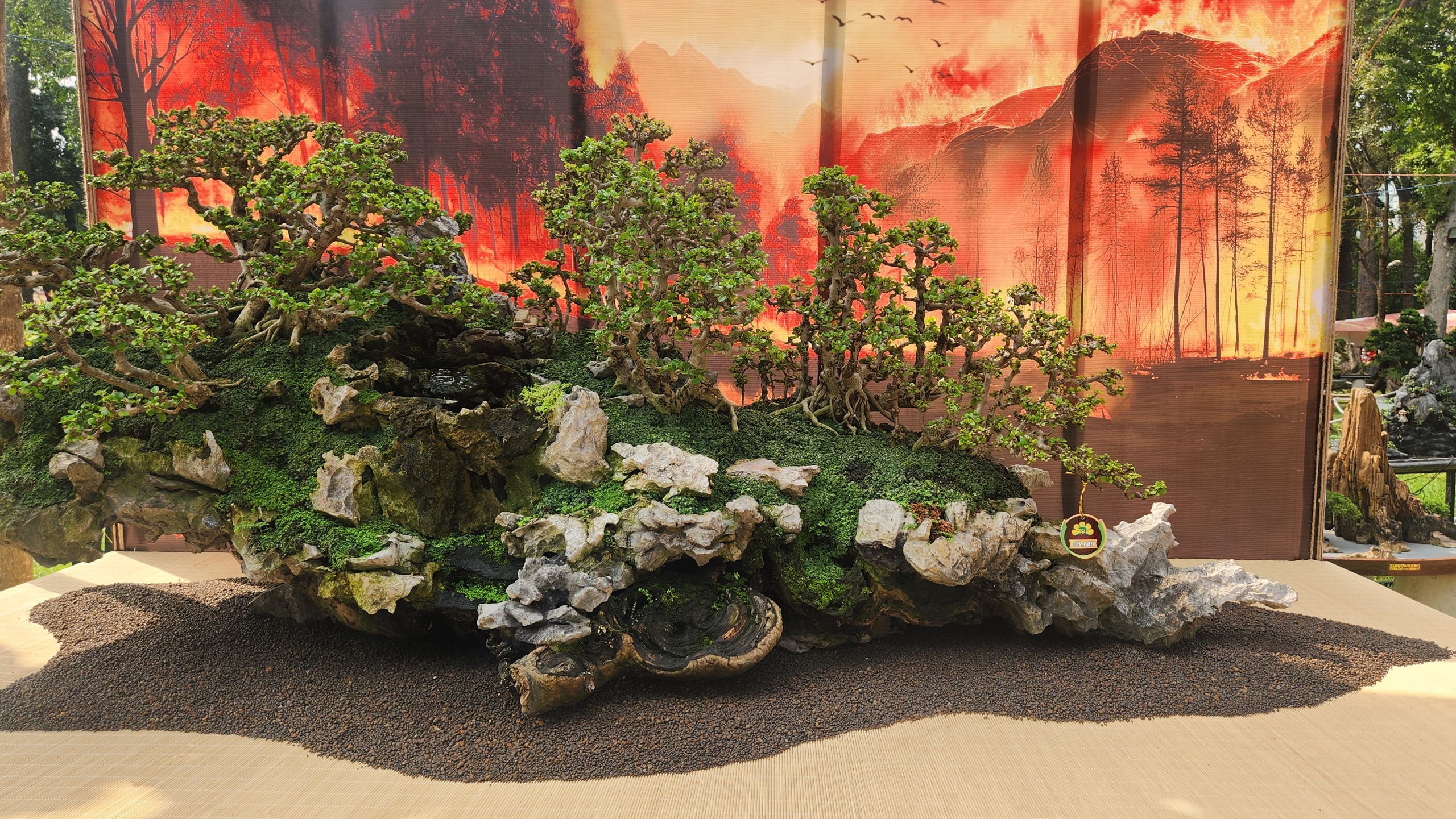 Hội hoa xu&acirc;n TP.HCM khoe sắc thu h&uacute;t người d&acirc;n 