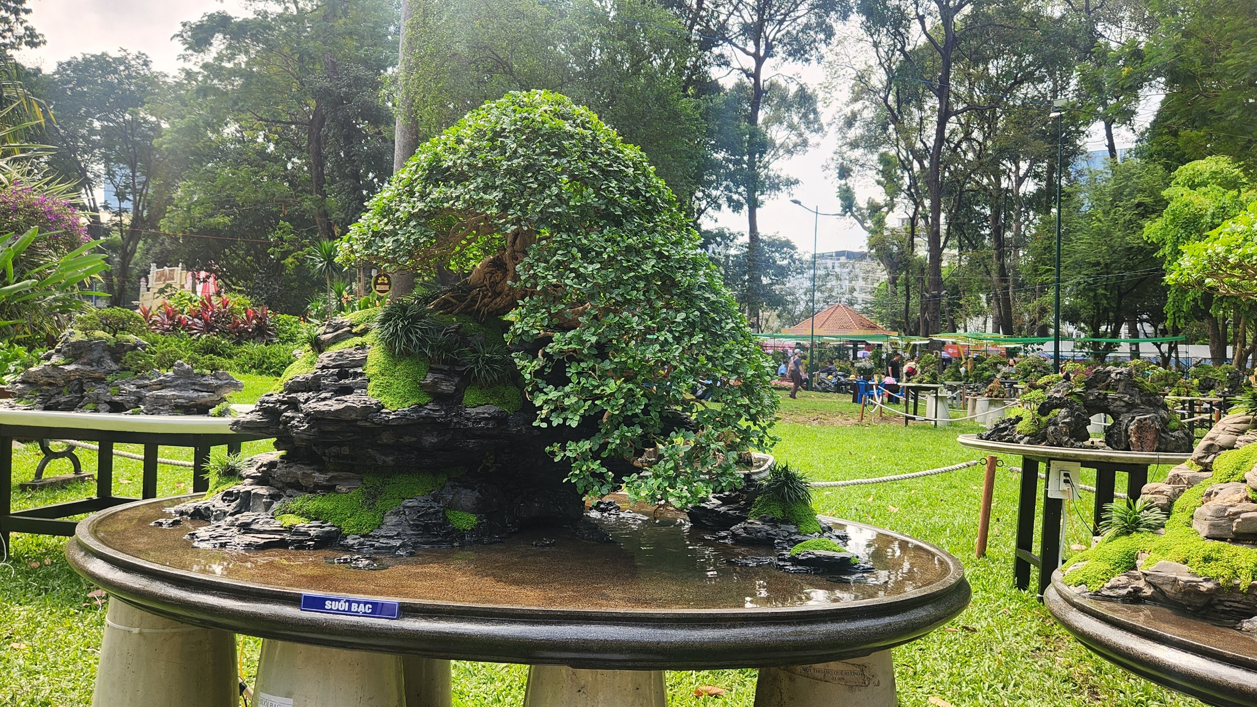 Hội hoa xu&acirc;n TP.HCM khoe sắc thu h&uacute;t người d&acirc;n 