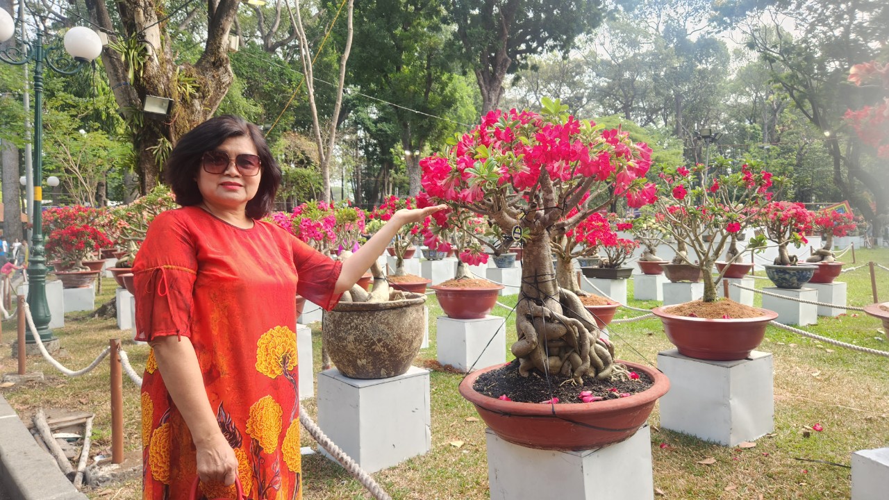 Hội hoa xu&acirc;n TP.HCM khoe sắc thu h&uacute;t người d&acirc;n 