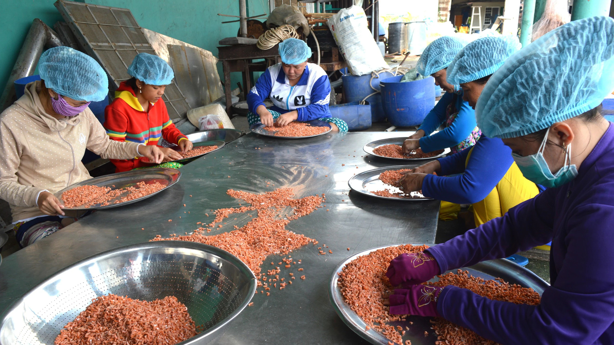 Độc đ&aacute;o nghề l&agrave;m t&ocirc;m kh&ocirc; truyền thống đặc sản ở C&agrave; Mau- Ảnh 1.