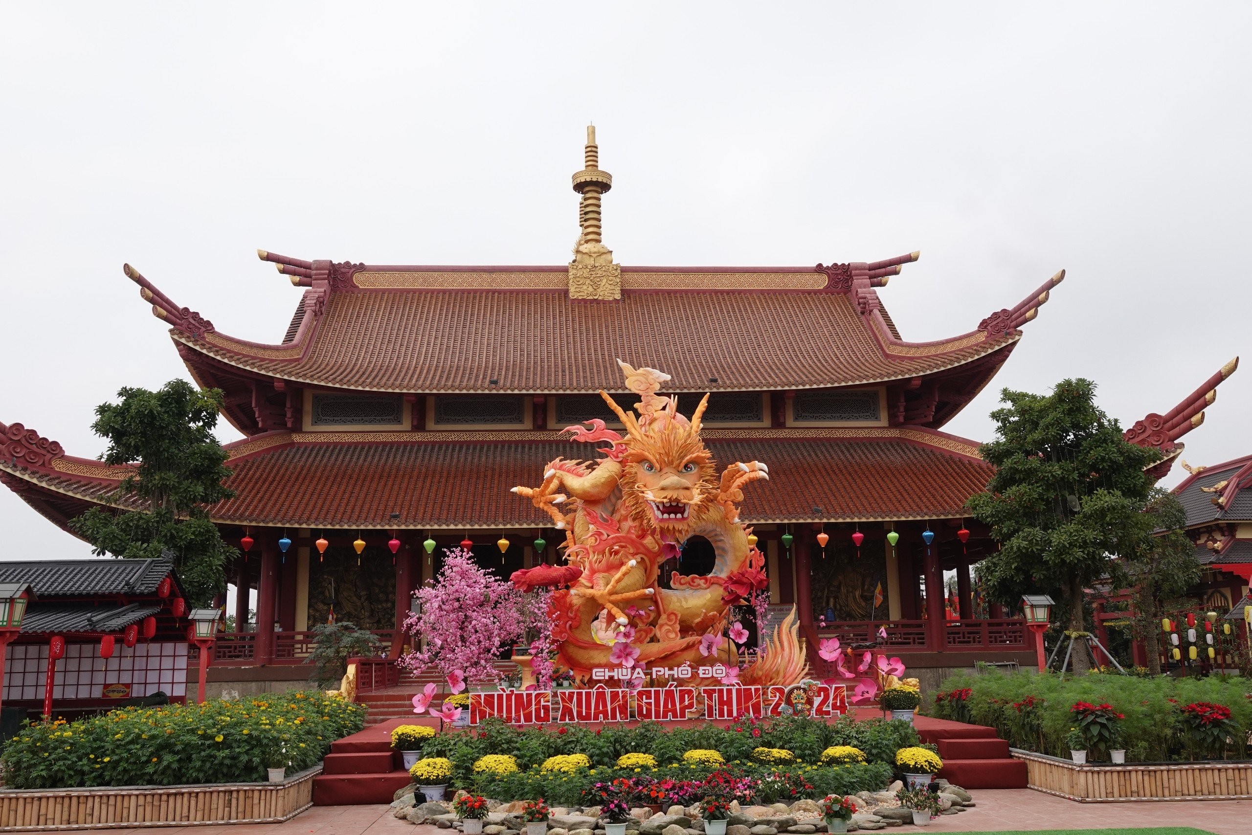 Ngắm rồng chầu 