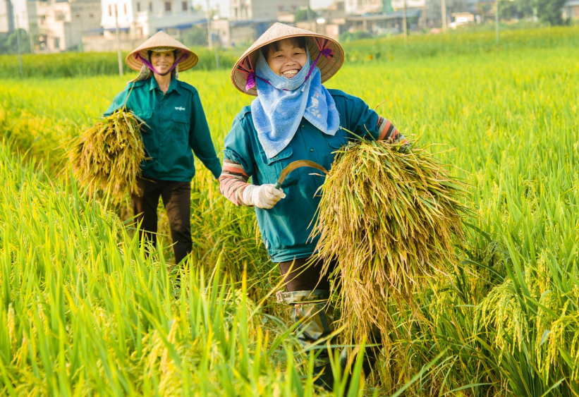 Ng&agrave;nh n&ocirc;ng nghiệp đặt mục ti&ecirc;u tăng trưởng GDP 3-3,5%- Ảnh 1.