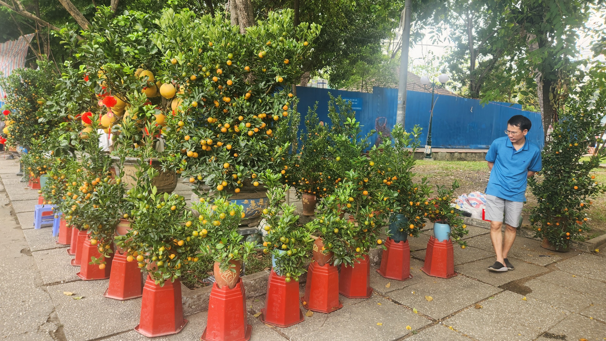 Người d&acirc;n TP.HCM tranh thủ mua hoa giảm gi&aacute; chiều 29 Tết- Ảnh 6.