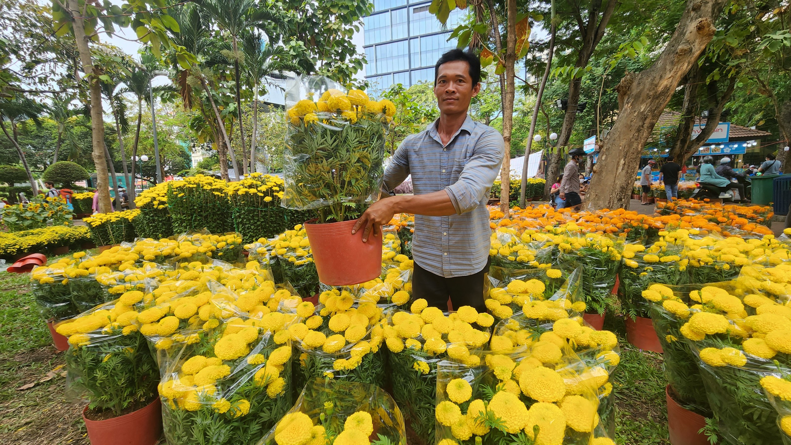 Người d&acirc;n TP.HCM tranh thủ mua hoa giảm gi&aacute; chiều 29 Tết- Ảnh 2.