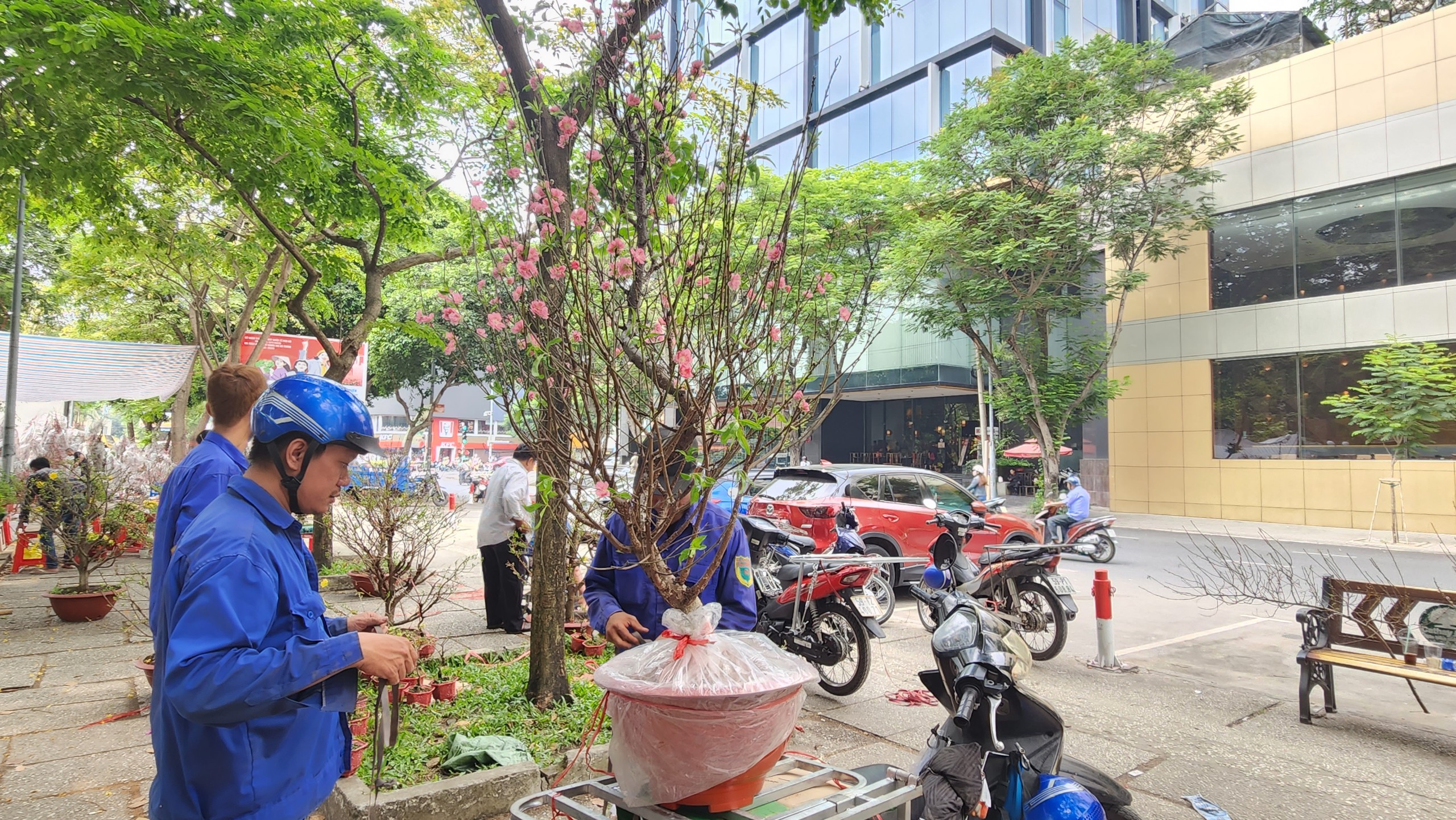 Người d&acirc;n TP.HCM tranh thủ mua hoa giảm gi&aacute; chiều 29 Tết- Ảnh 1.