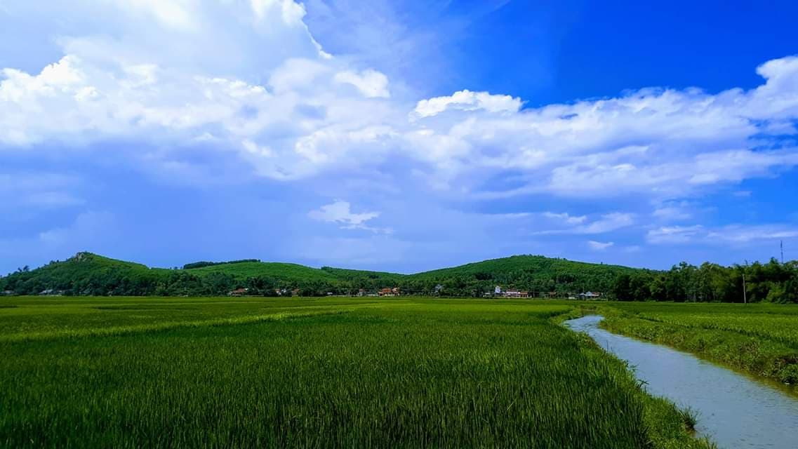 Chuyện rồng tr&ecirc;n miền đất n&uacute;i Ấn s&ocirc;ng Tr&agrave;- Ảnh 2.