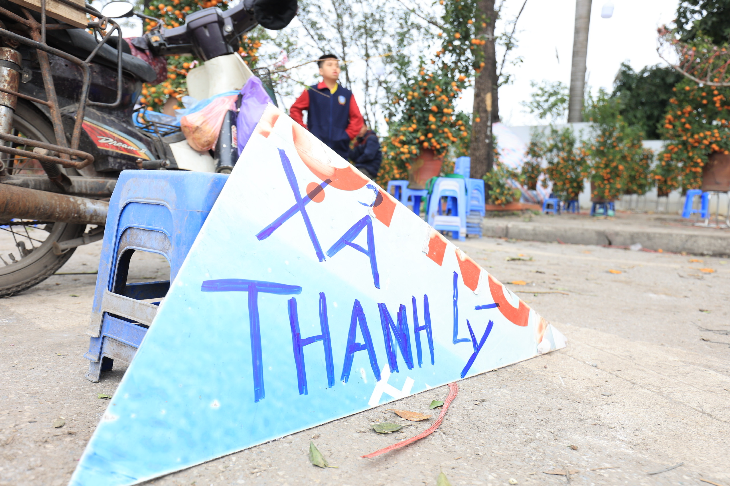 Ồ ạt đại hạ gi&aacute; đ&agrave;o, quất, lan hồ điệp ng&agrave;y 30 Tết- Ảnh 10.