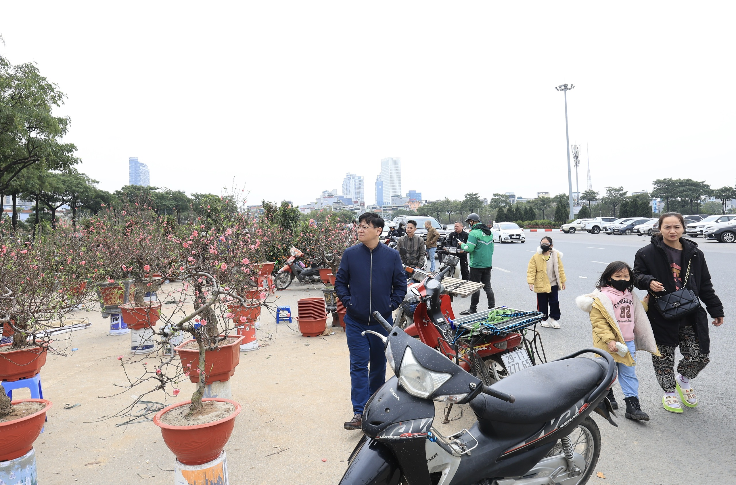 Ồ ạt đại hạ gi&aacute; đ&agrave;o, quất, lan hồ điệp ng&agrave;y 30 Tết- Ảnh 15.