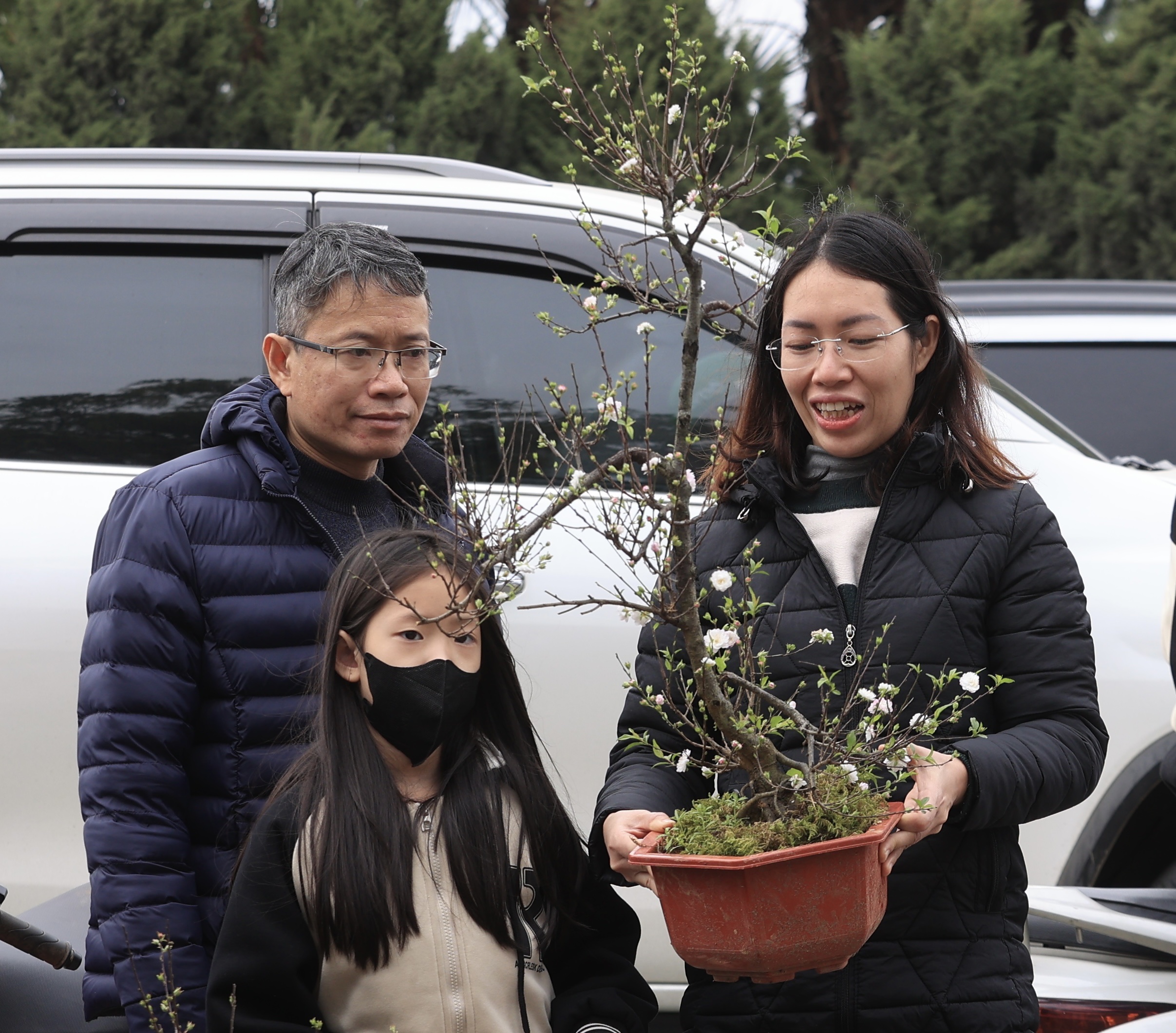 Ồ ạt đại hạ gi&aacute; đ&agrave;o, quất, lan hồ điệp ng&agrave;y 30 Tết- Ảnh 18.