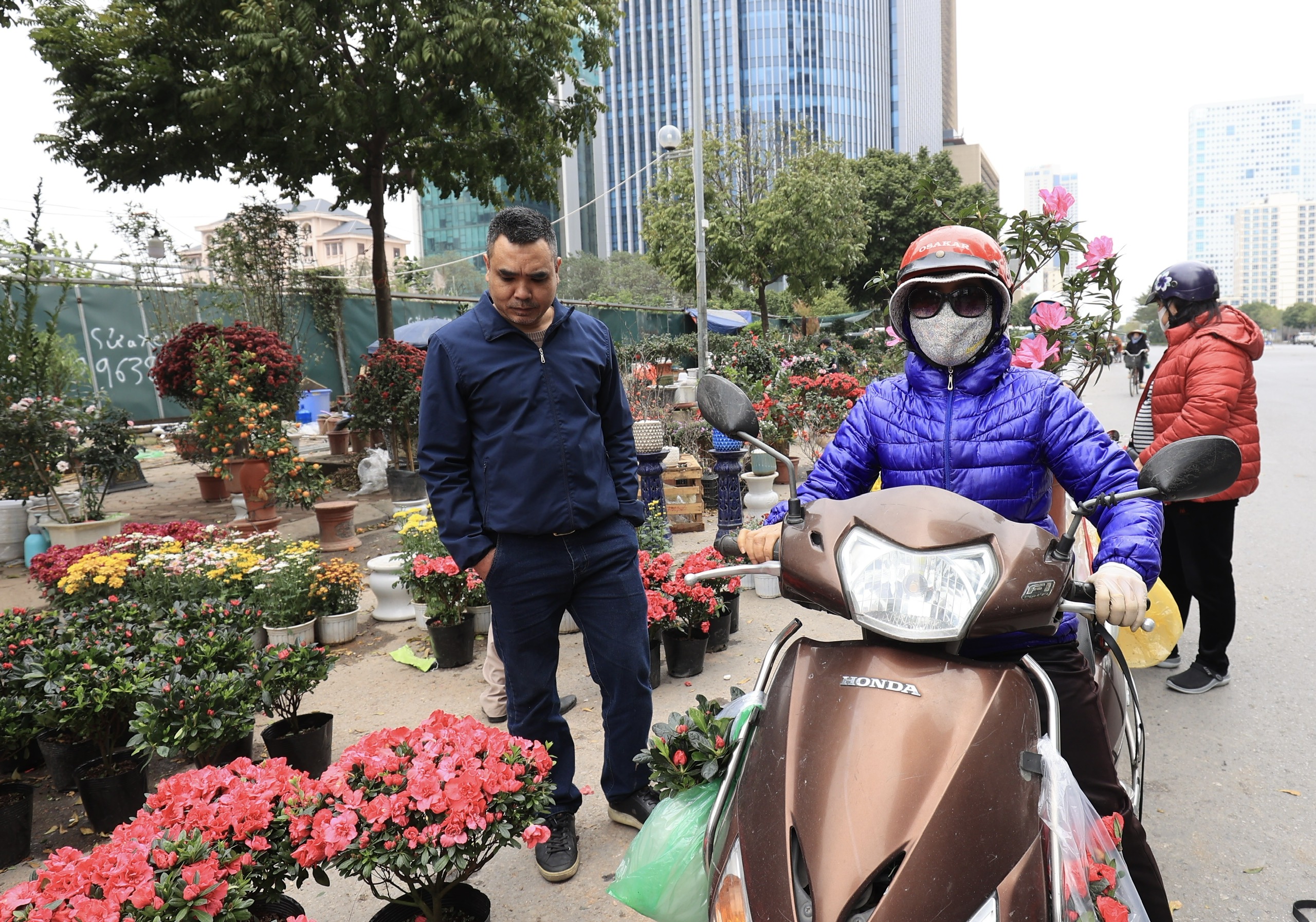 Ồ ạt đại hạ gi&aacute; đ&agrave;o, quất, lan hồ điệp ng&agrave;y 30 Tết- Ảnh 9.