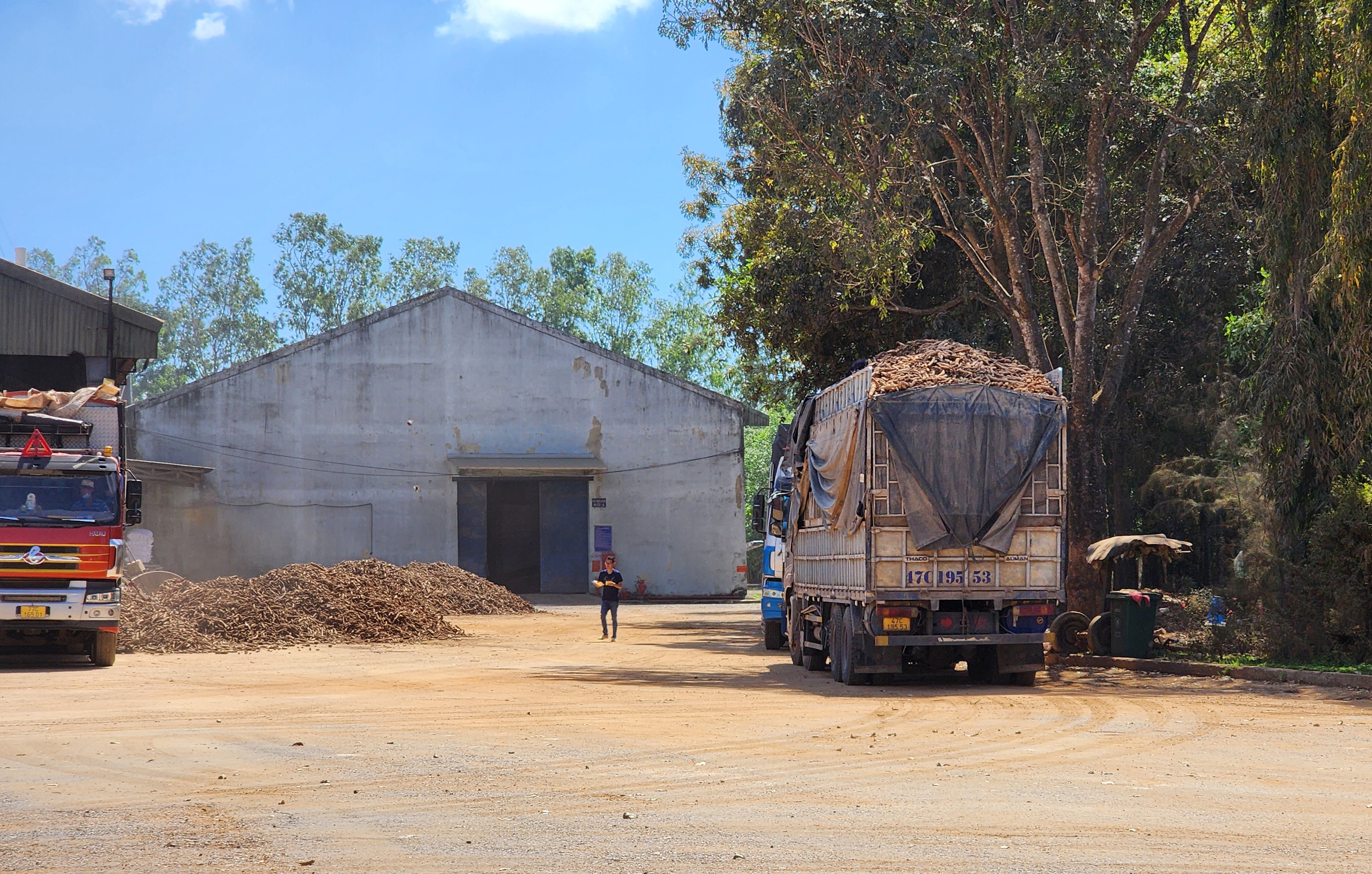 Phó giám đốc Công an tỉnh Đắk Lắk trực tiếp kiểm tra, xử lý xe quá tải- Ảnh 2. Phó giám đốc Công an tỉnh Đắk Lắk trực tiếp kiểm tra, xử lý xe quá tải- Ảnh 2.