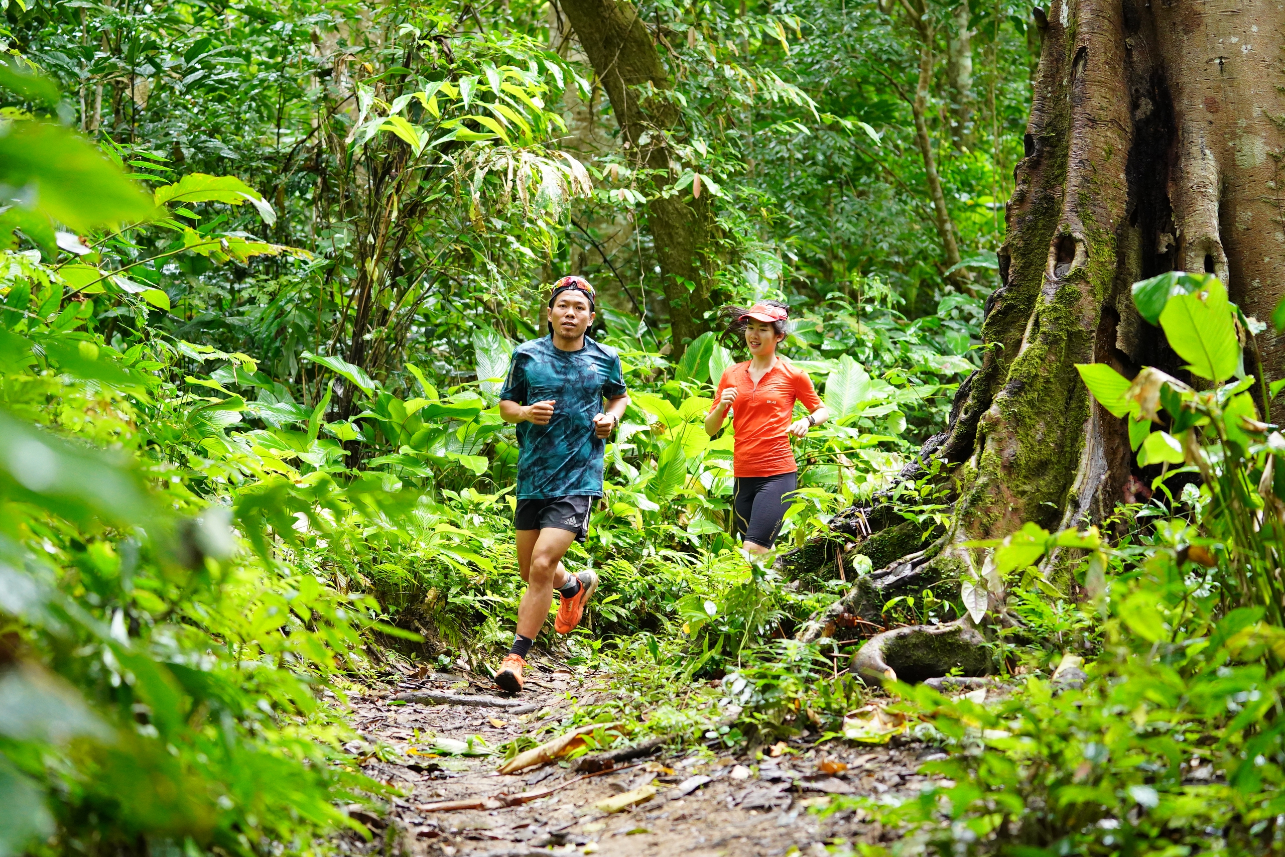 THACO Marathon v&igrave; ATGT Điện Bi&ecirc;n 2024 sẽ l&agrave; giải chạy &yacute; nghĩa, lan tỏa nhất năm- Ảnh 2.