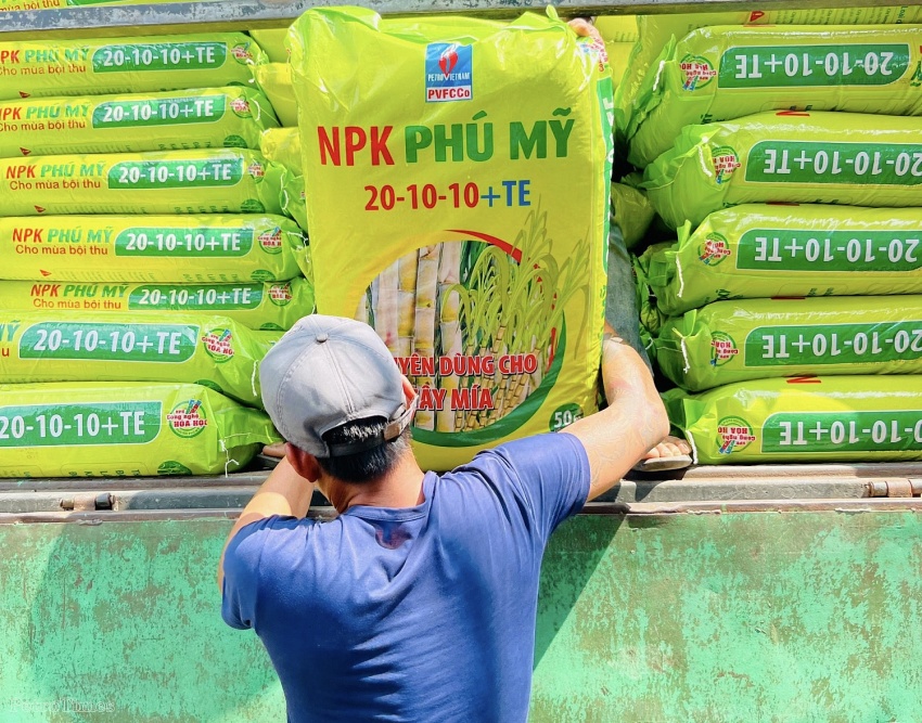 NPK Phú Mỹ 20-10-10 + TE: Hứa hẹn mang về những vụ mía ngọt- Ảnh 3. NPK Phú Mỹ 20-10-10 + TE: Hứa hẹn mang về những vụ mía ngọt- Ảnh 3.