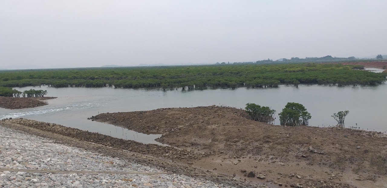 Quảng Ninh: Lạ l&ugrave;ng tuyến đ&ecirc; triệu đ&ocirc; x&acirc;y xong rồi bỏ kh&ocirc;ng- Ảnh 3.