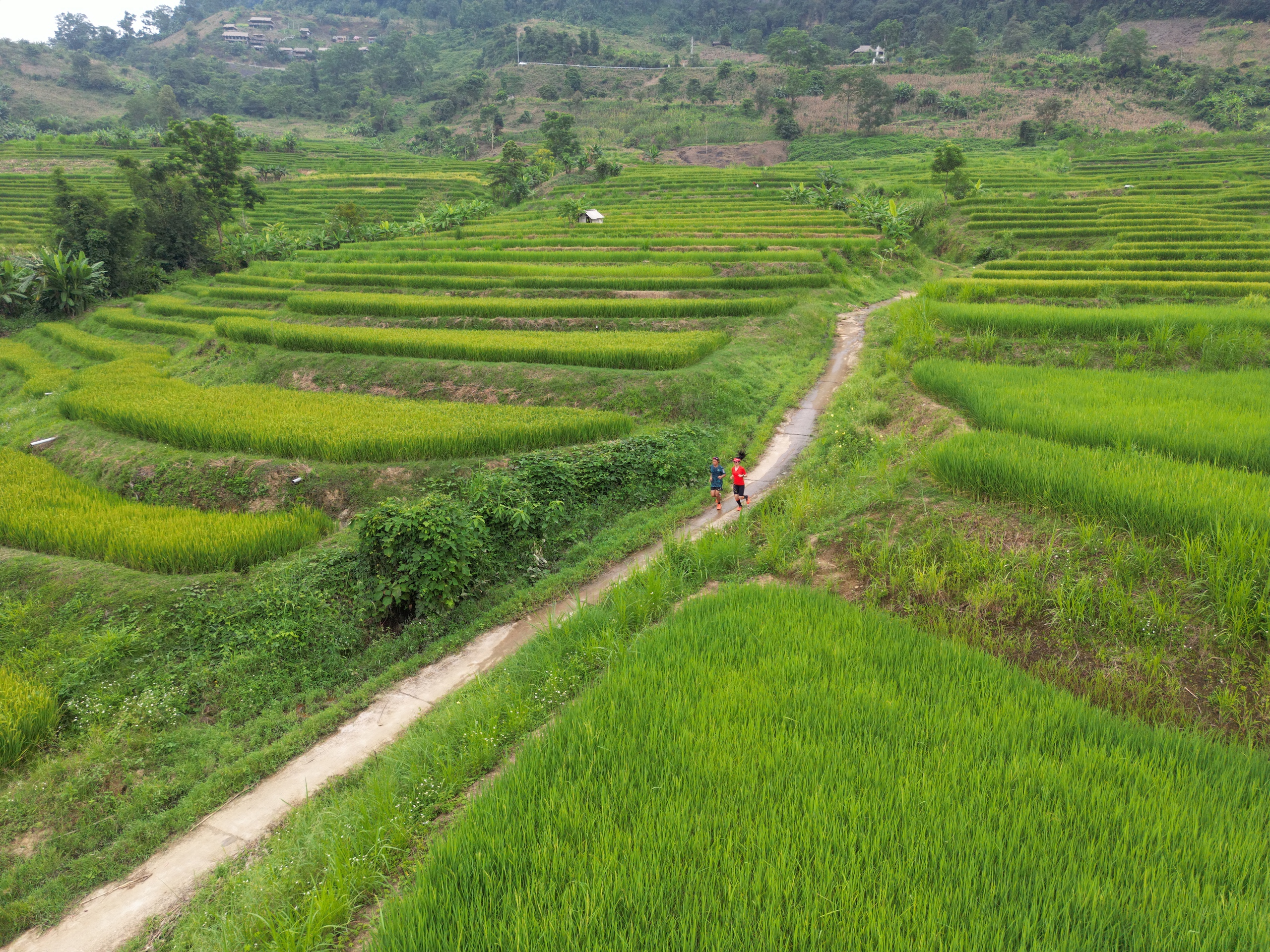 Đến Điện Bi&ecirc;n dự giải Marathon v&igrave; ATGT 2024, ăn ở tại đ&acirc;u?- Ảnh 1.