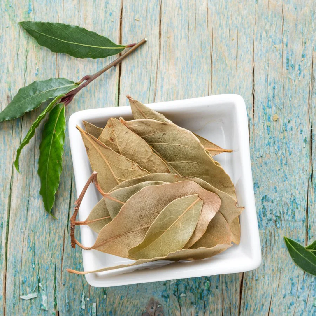 Loại l&aacute; d&acirc;n d&atilde; t&aacute;c dụng "thần th&aacute;nh", ra nước ngo&agrave;i chi tiền triệu mới mua được - Ảnh 1.