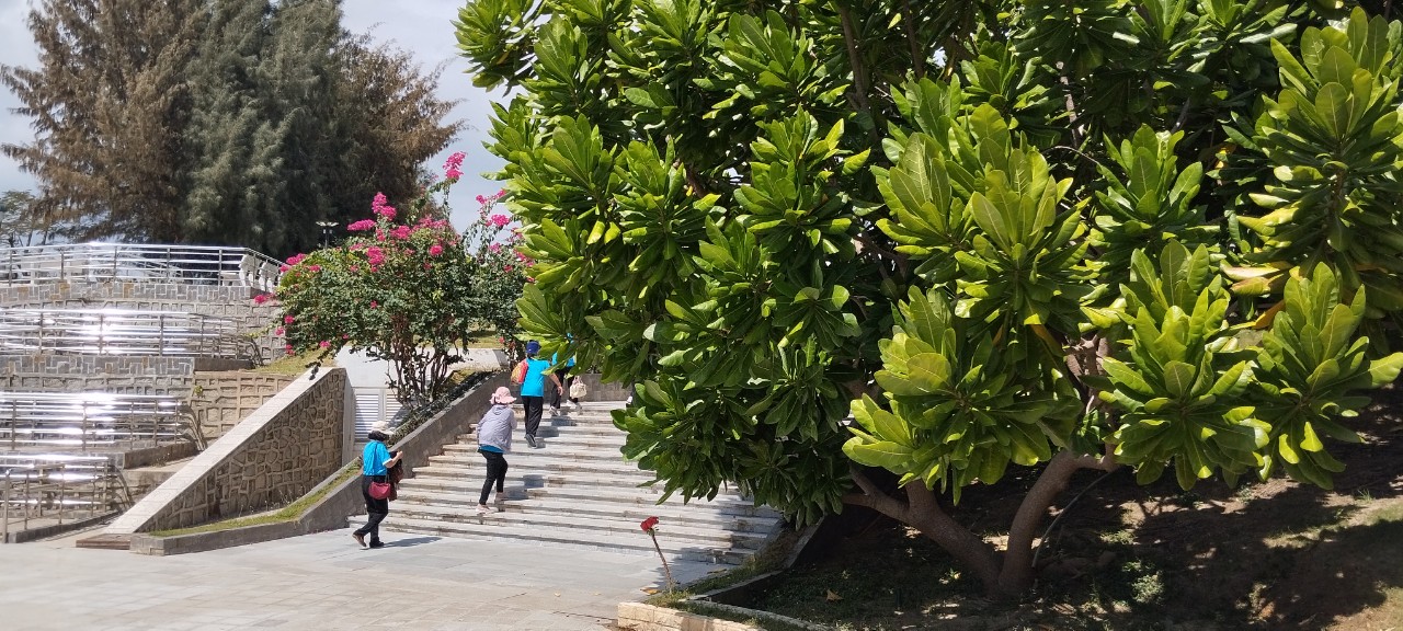 Sắc xanh nơi &ldquo;những người nằm lại ph&iacute;a ch&acirc;n trời&rdquo;- Ảnh 7.