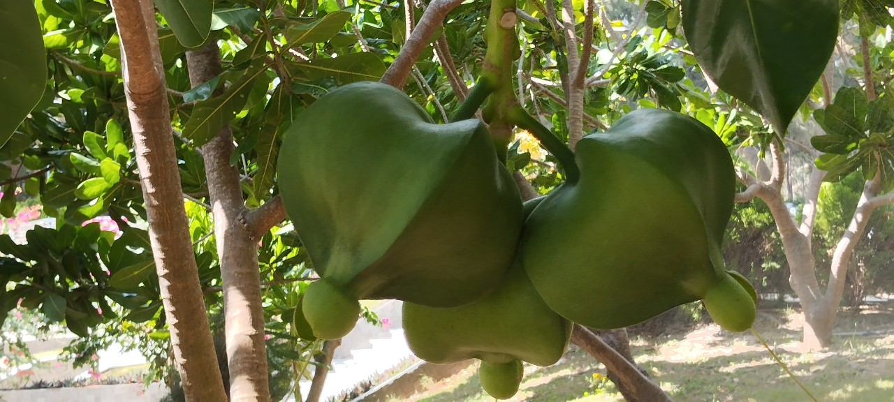 Sắc xanh nơi &ldquo;những người nằm lại ph&iacute;a ch&acirc;n trời&rdquo;- Ảnh 10.