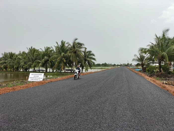 Nghi&ecirc;n cứu mở rộng phạm vi th&iacute; điểm c&aacute;t biển thi c&ocirc;ng nền đường- Ảnh 1.