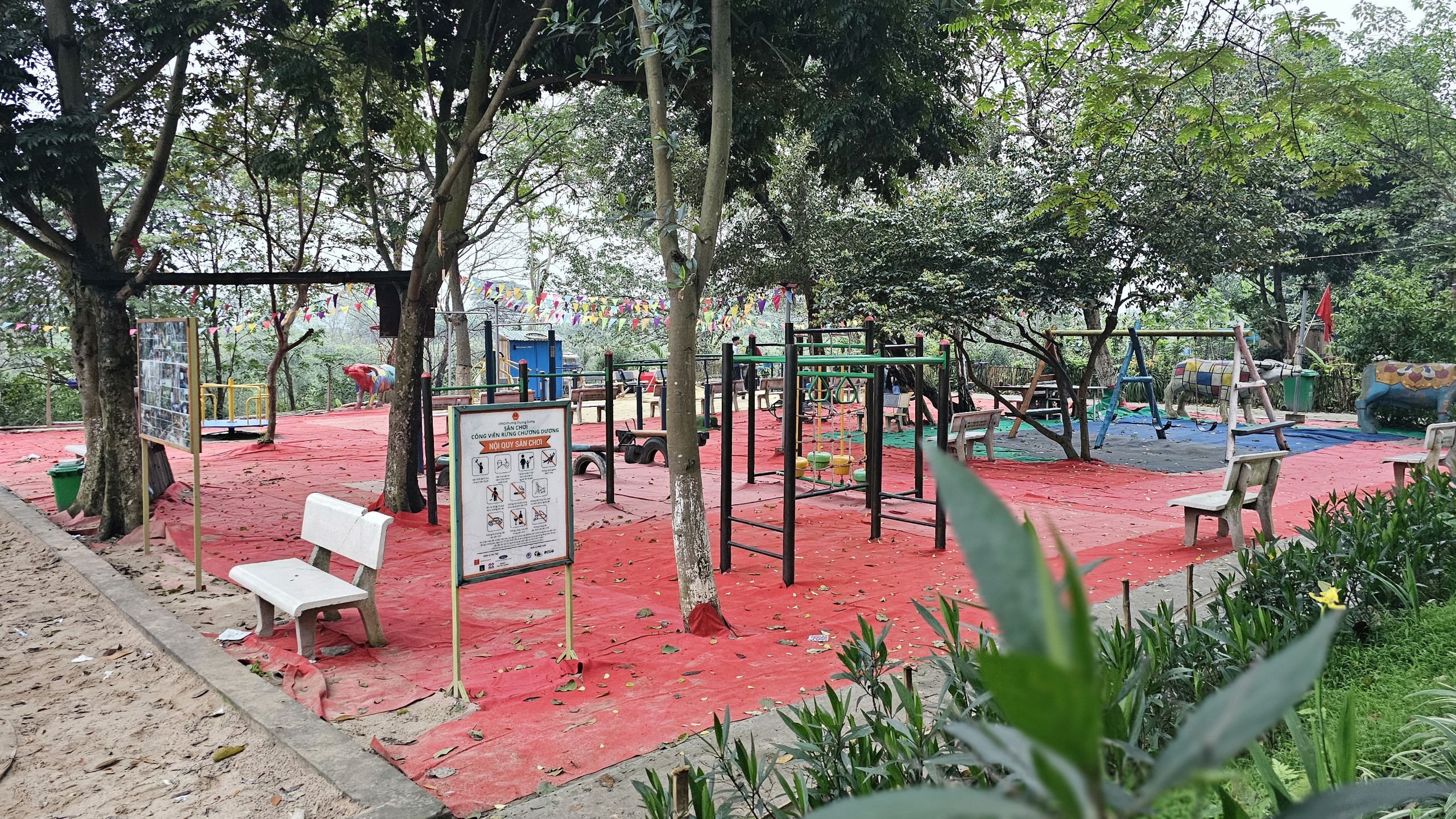 C&ocirc;ng vi&ecirc;n rừng giữa l&ograve;ng H&agrave; Nội được hồi sinh từ b&atilde;i r&aacute;c- Ảnh 1.