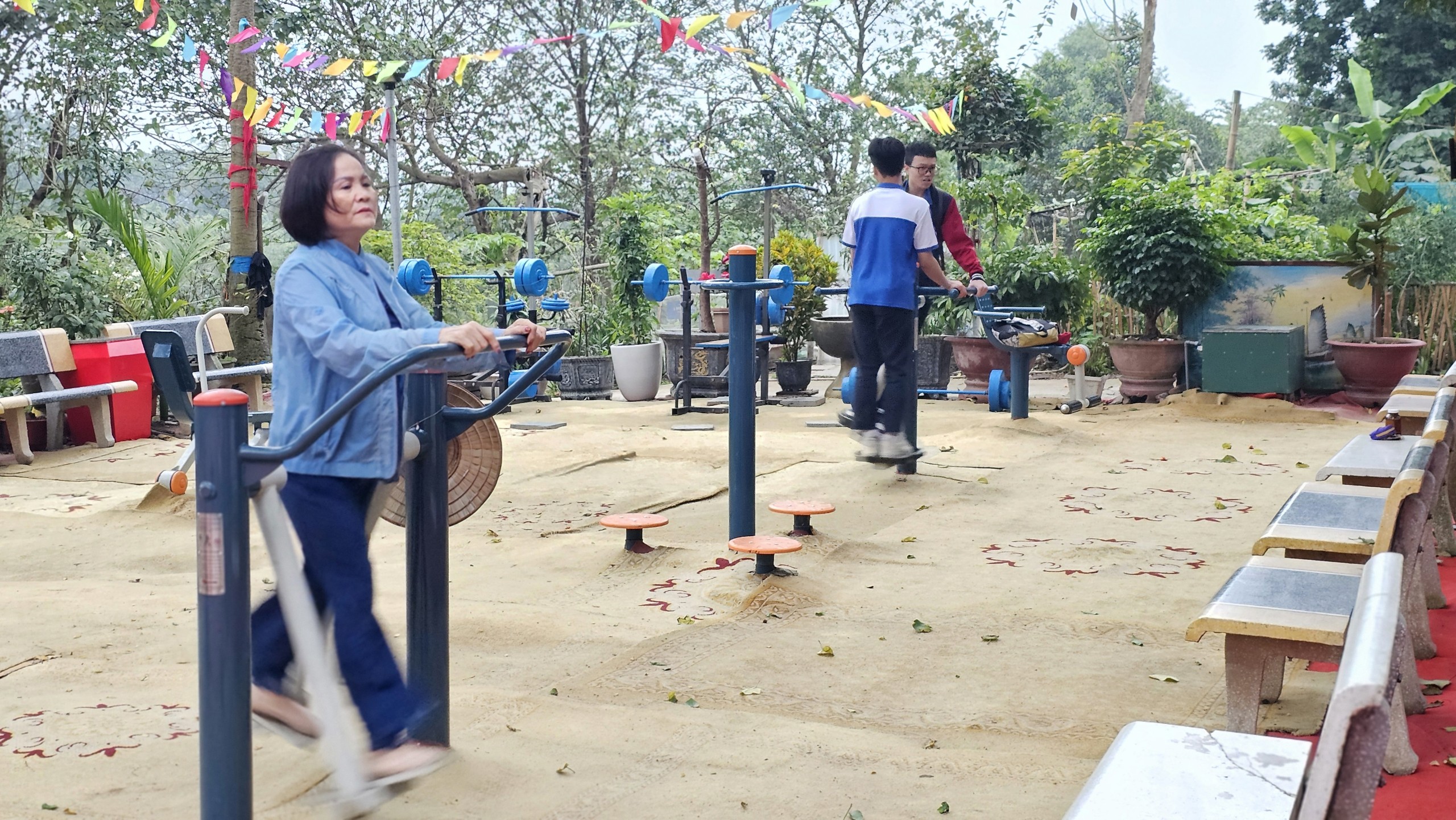 C&ocirc;ng vi&ecirc;n rừng giữa l&ograve;ng H&agrave; Nội được hồi sinh từ b&atilde;i r&aacute;c- Ảnh 5.