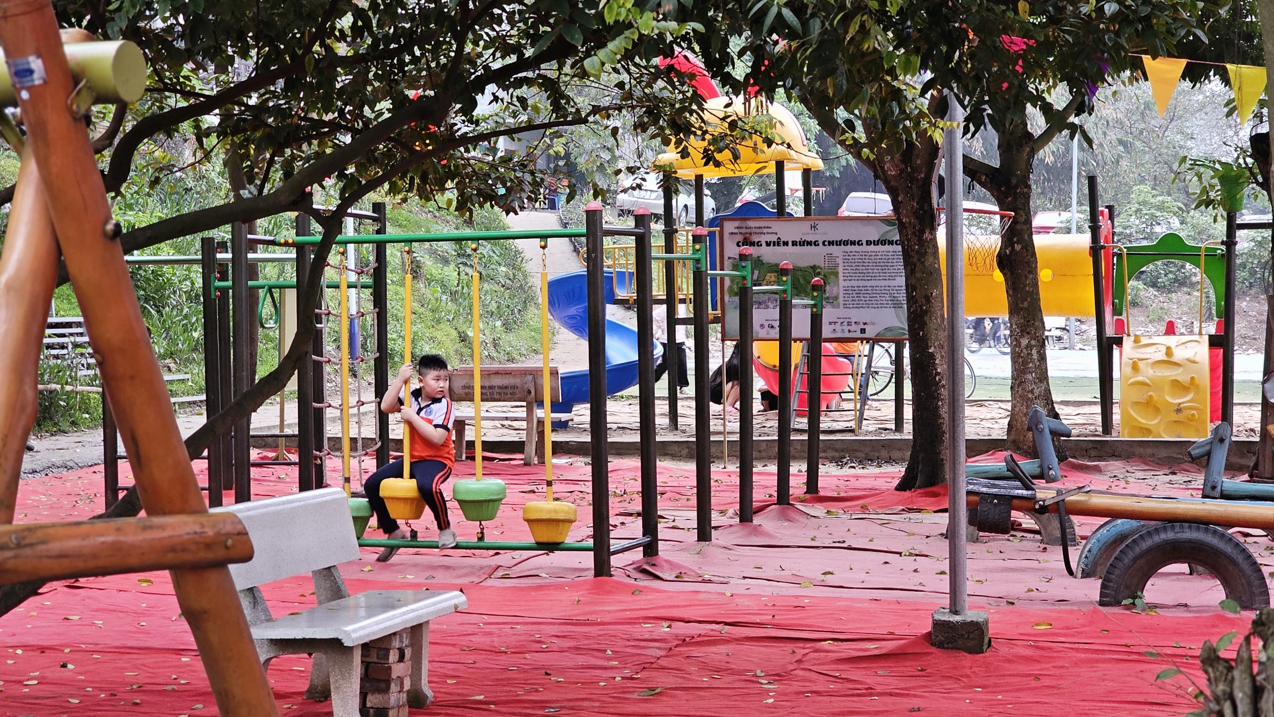 C&ocirc;ng vi&ecirc;n rừng giữa l&ograve;ng H&agrave; Nội được hồi sinh từ b&atilde;i r&aacute;c- Ảnh 7.