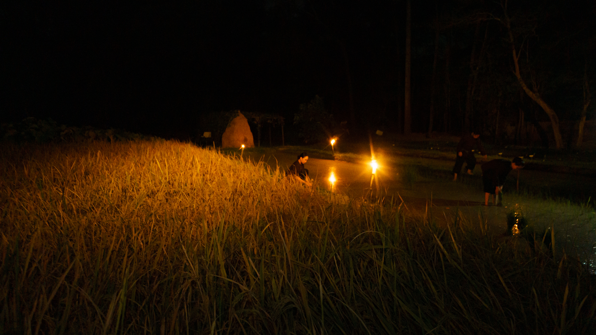 "Trăng chiến khu", tour đ&ecirc;m t&aacute;i hiện miền đất địa đạo Củ Chi thời chống Mỹ- Ảnh 17.