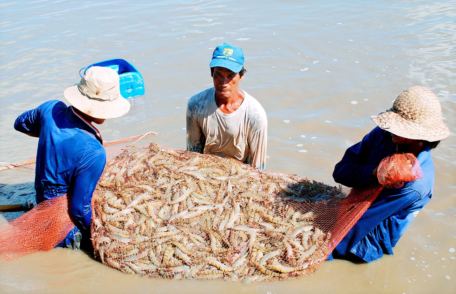 Đầu tư hạ tầng giao th&ocirc;ng, thủy lợi để ph&aacute;t triển n&ocirc;ng nghiệp thuận thi&ecirc;n- Ảnh 3.