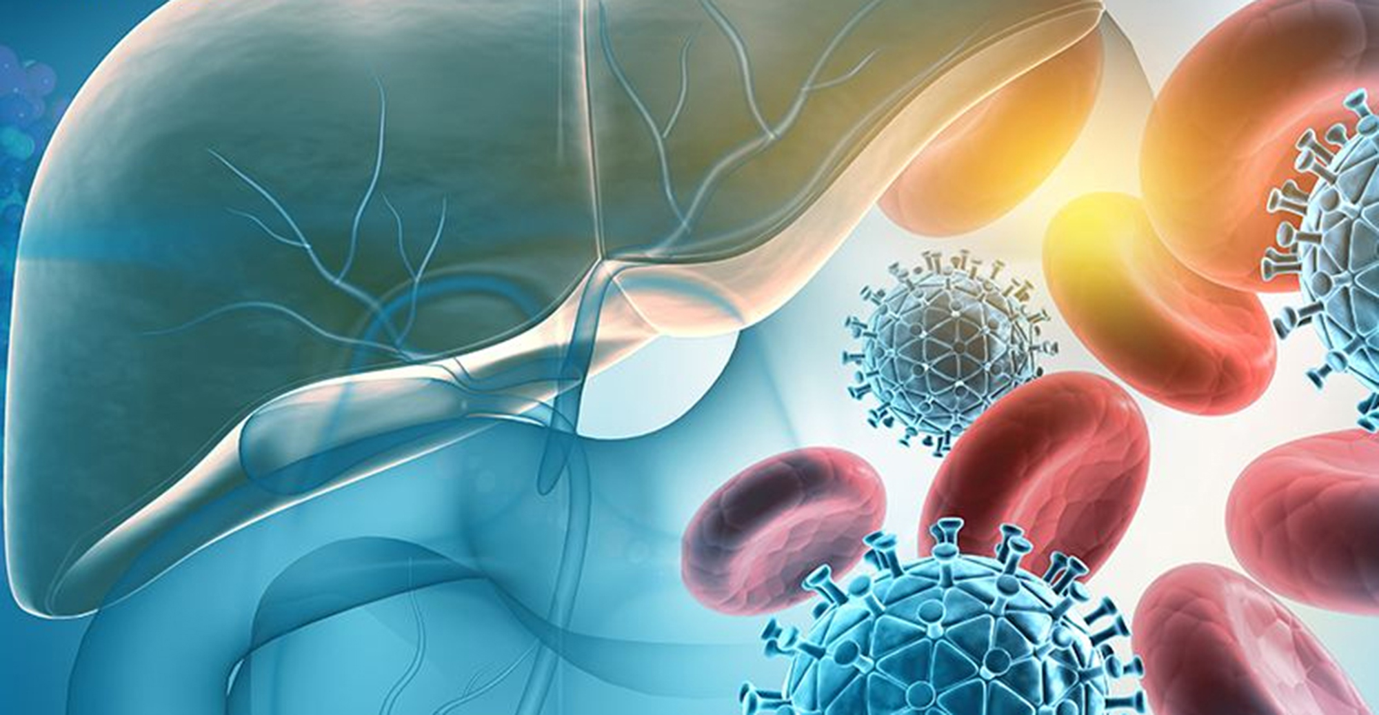 Viêm gan B có điều trị dứt điểm được không?- Ảnh 1. Viêm gan B có điều trị dứt điểm được không?- Ảnh 1.