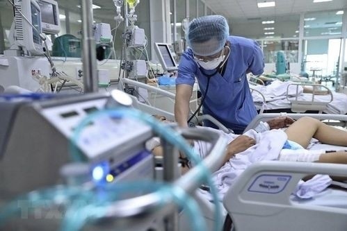Nha Trang: Một sinh vi&ecirc;n nhiễm c&uacute;m gia cầm A/H5, gần trăm người phải x&eacute;t nghiệm- Ảnh 1.