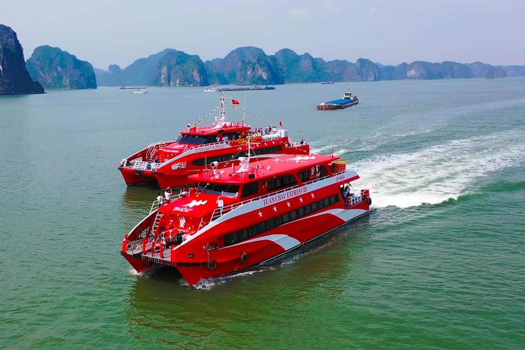 Quảng Ninh th&iacute; điểm du thuyền đẳng cấp trải nghiệm vịnh B&aacute;i Tử Long- Ảnh 2.