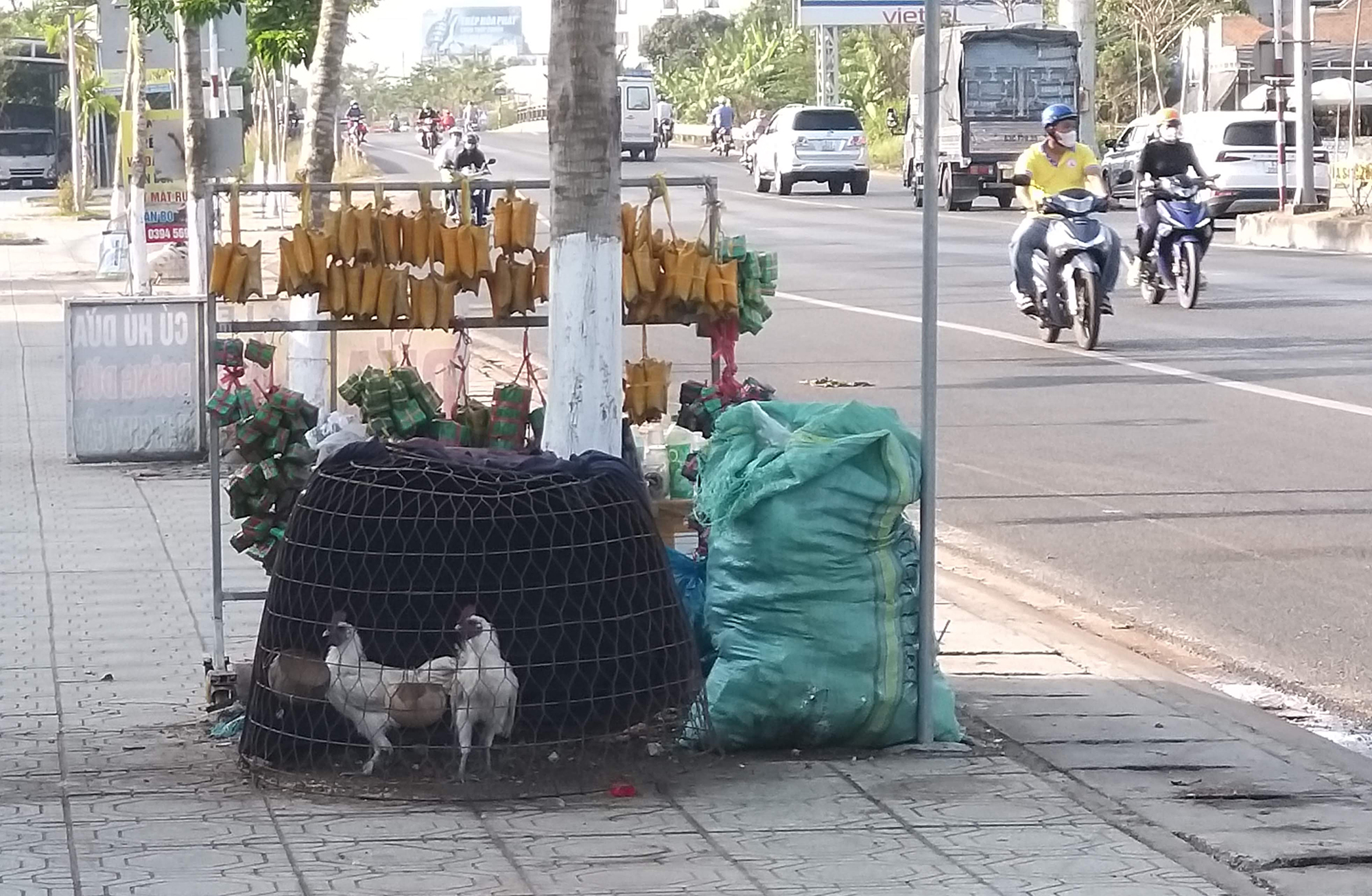 Bến Tre: Tr&agrave;n lan vi phạm, mất ATGT tr&ecirc;n quốc lộ 60- Ảnh 2.