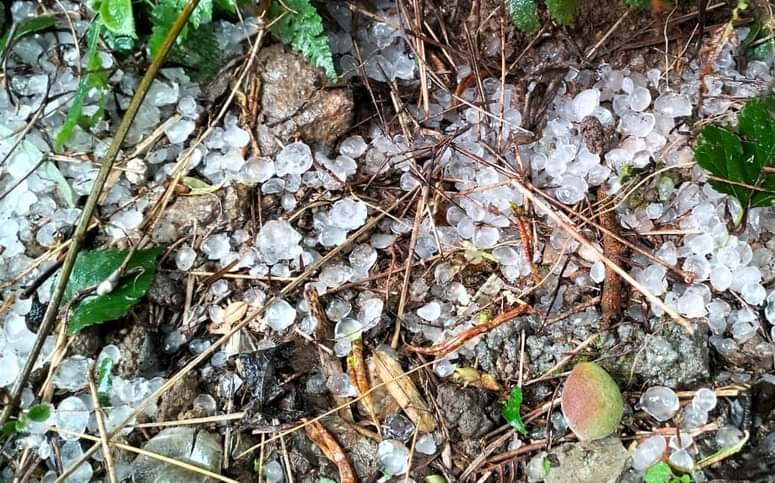 Mưa đ&aacute;, d&ocirc;ng lốc g&acirc;y thiệt hại t&agrave;i sản, hoa m&agrave;u tại nhiều tỉnh T&acirc;y Bắc- Ảnh 3.