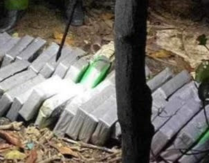 40 t&uacute;i bột m&agrave;u trắng nghi ma t&uacute;y tr&ocirc;i dạt v&agrave;o bờ biển Tiền Giang- Ảnh 1.