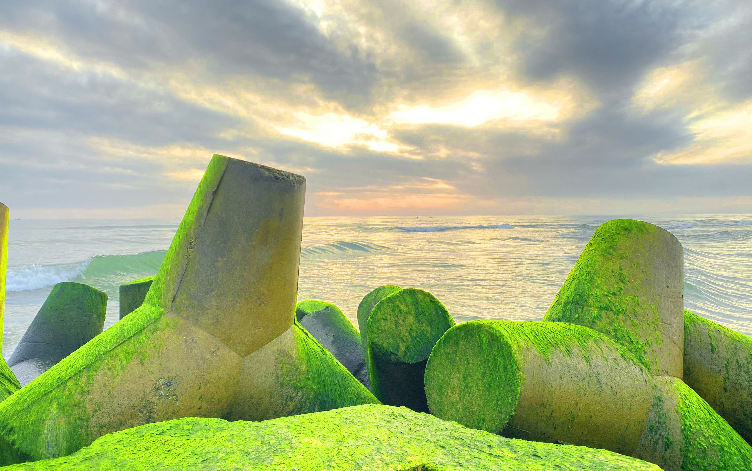 Khung cảnh cực chill ở bờ k&egrave; l&agrave;ng biển phủ k&iacute;n r&ecirc;u xanh- Ảnh 8.