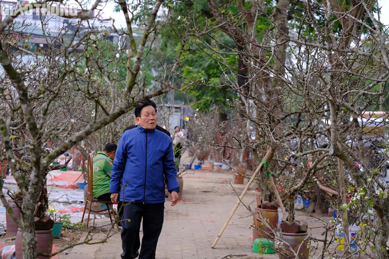 L&ecirc; rừng nở hoa trắng muốt h&uacute;t kh&aacute;ch Thủ đ&ocirc;- Ảnh 1.