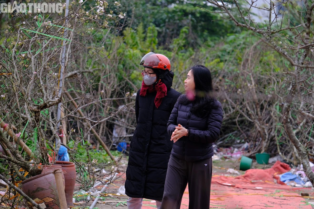 L&ecirc; rừng nở hoa trắng muốt h&uacute;t kh&aacute;ch Thủ đ&ocirc;- Ảnh 4.