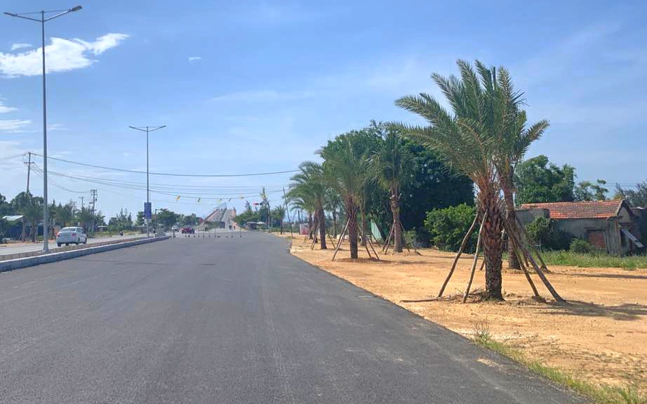 Bộ C&ocirc;ng an y&ecirc;u cầu Quảng Nam cung cấp th&ocirc;ng tin c&aacute;c dự &aacute;n trồng, chăm s&oacute;c c&acirc;y xanh- Ảnh 1.