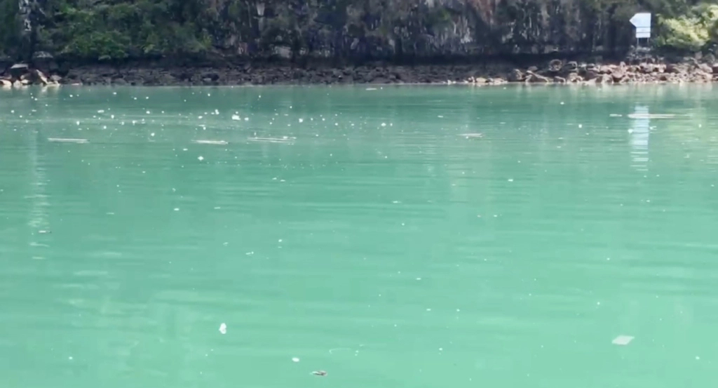 Khẩn trương xử lý phao xốp bủa vây vịnh Hạ Long- Ảnh 1. Khẩn trương xử lý phao xốp bủa vây vịnh Hạ Long- Ảnh 1.