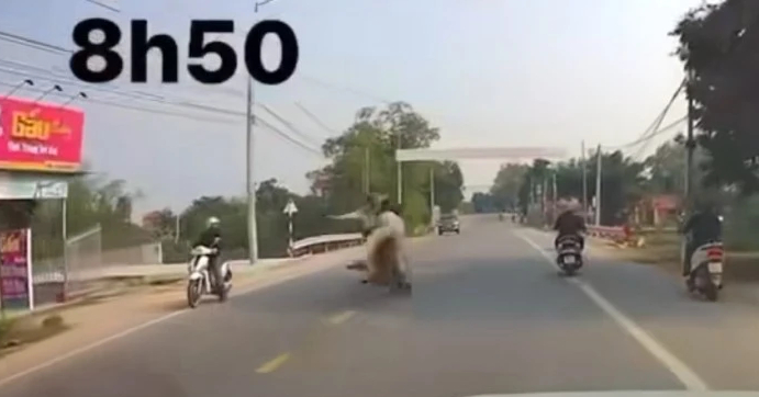 Tạm giữ đối tượng đ&acirc;m thẳng xe v&agrave;o tổ tuần tra l&agrave;m một CSGT bị thương- Ảnh 2.