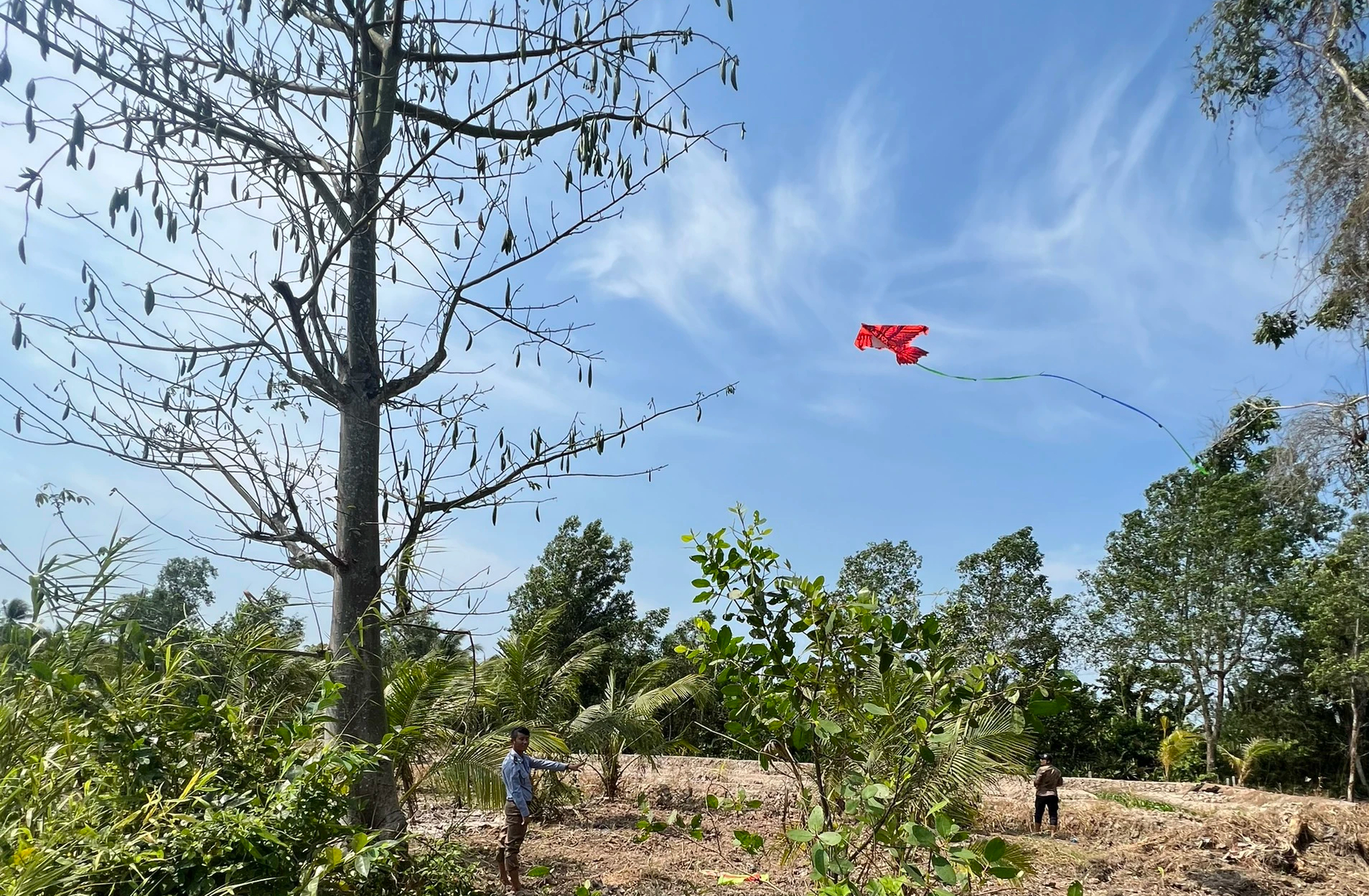 Thả diều, sử dụng thiết bị chiếu sáng ảnh hưởng an toàn bay ở Cần Thơ- Ảnh 1. Thả diều, sử dụng thiết bị chiếu sáng ảnh hưởng an toàn bay ở Cần Thơ- Ảnh 1.