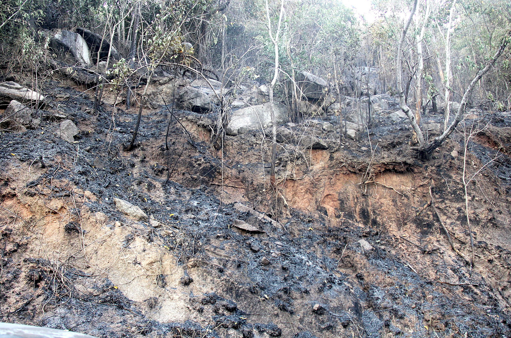 Tài xế bớt hồi hộp khi qua đèo Ngoạn Mục- Ảnh 2. Tài xế bớt hồi hộp khi qua đèo Ngoạn Mục- Ảnh 2.