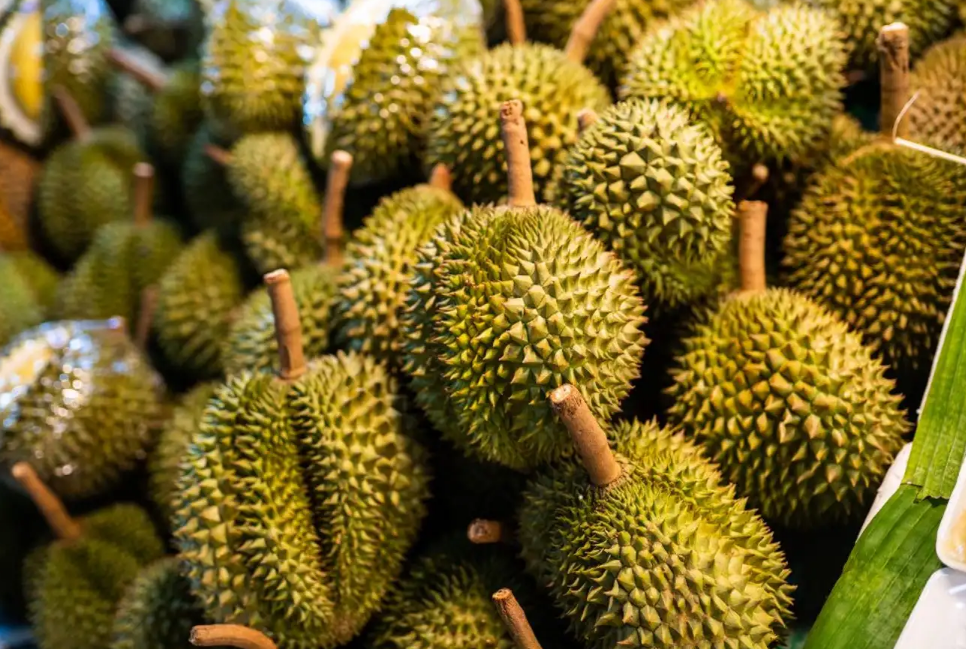 Th&ocirc;ng tin mới về 30 l&ocirc; h&agrave;ng sầu ri&ecirc;ng bị Trung Quốc cảnh b&aacute;o- Ảnh 1.