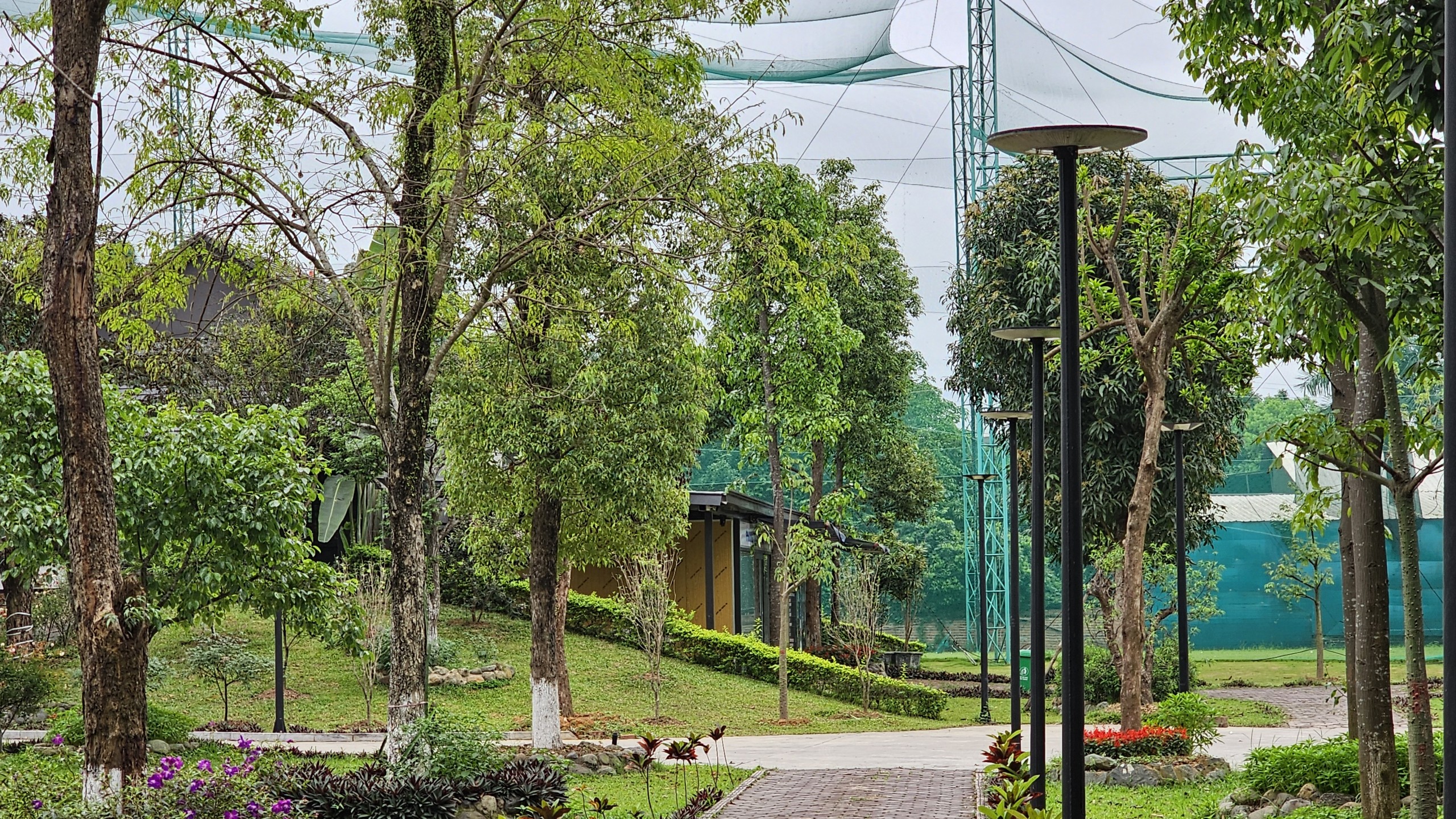 "Biệt phủ" tr&aacute;i ph&eacute;p chưa dỡ bỏ, tự &yacute; x&acirc;y th&ecirc;m s&acirc;n tập golf- Ảnh 3.