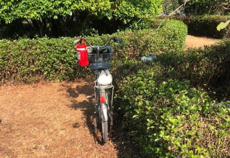 Ph&aacute;t hiện thi thể người đ&agrave;n &ocirc;ng ch&aacute;y đen ở Long An- Ảnh 1.