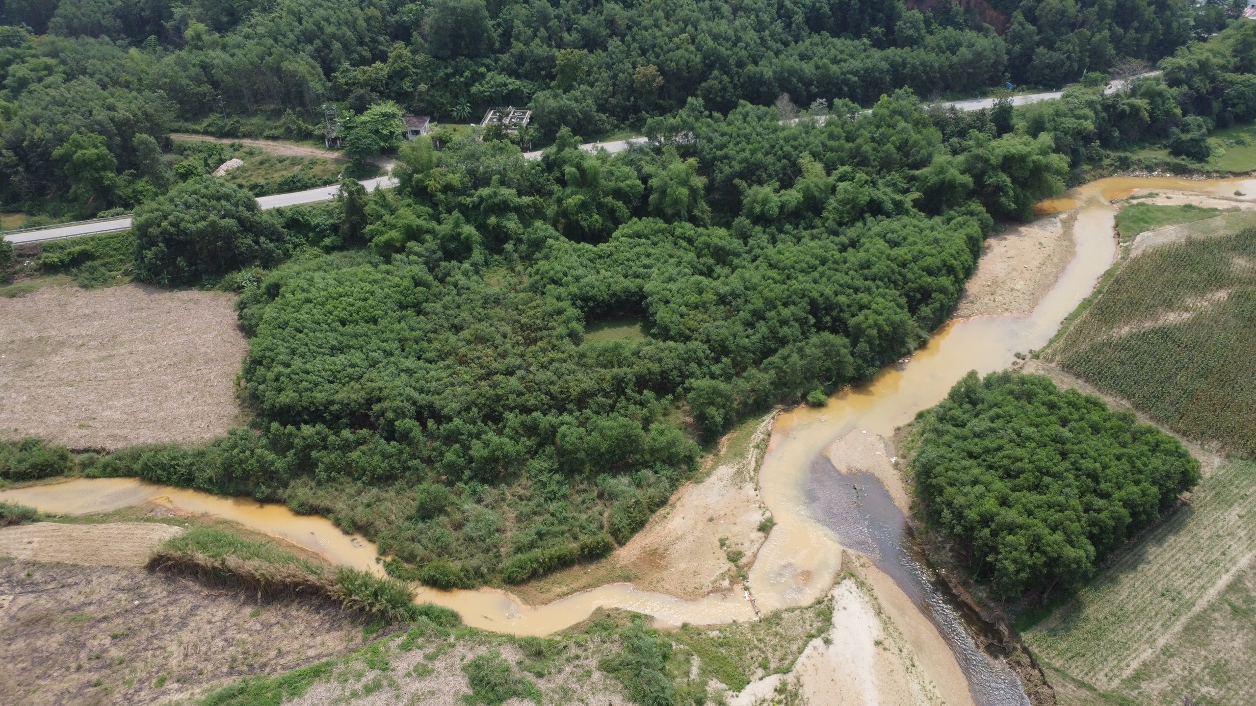 Nghệ An: Nước s&ocirc;ng Nậm T&ocirc;n bất ngờ chuyển m&agrave;u v&agrave;ng đục- Ảnh 4.